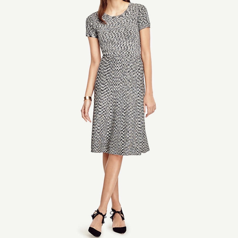 Ann Taylor Spacedye flare dress new size large